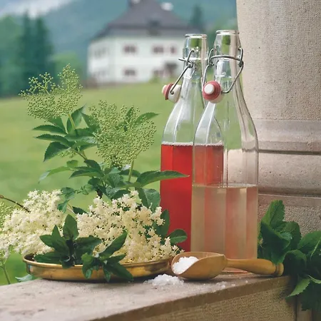 Hotel Koller Gosau