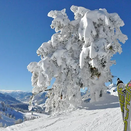Koller 4* Gosau