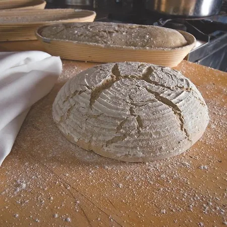 랜드하우스 콜러 4*