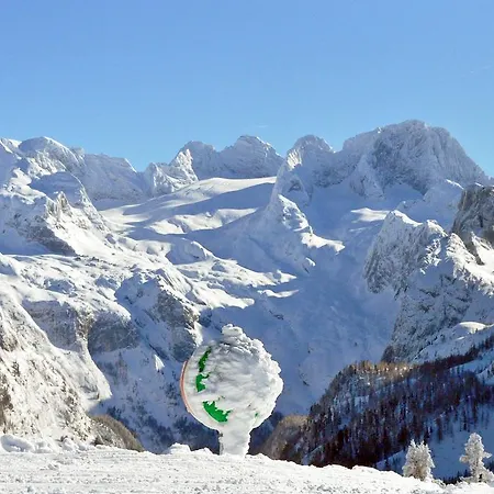 랜드하우스 콜러 4*