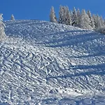 Koller