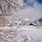 Koller