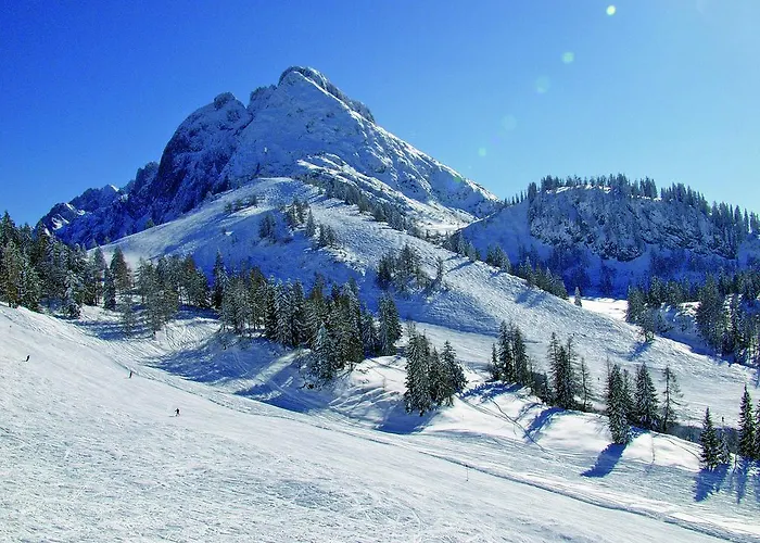 Отель Koller 4*